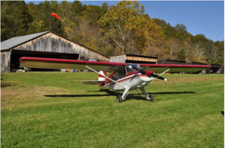 Bearhawk LSA